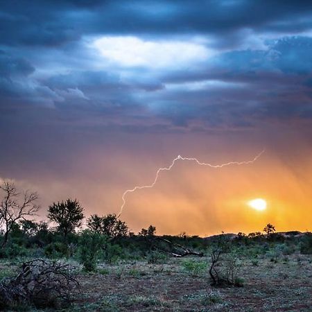 Impodimo Game Lodge Madikwe Game Reserve Ngoại thất bức ảnh