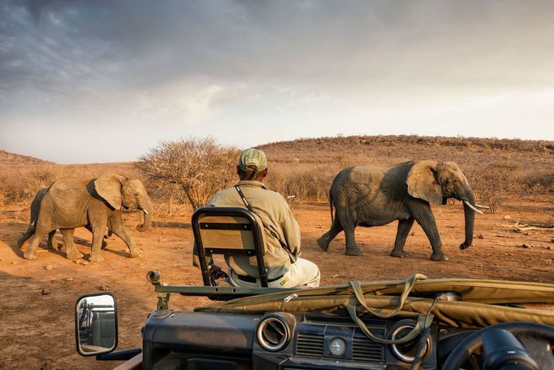Impodimo Game Lodge Madikwe Game Reserve Ngoại thất bức ảnh
