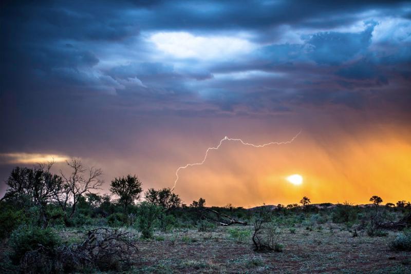 Impodimo Game Lodge Madikwe Game Reserve Ngoại thất bức ảnh